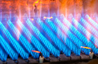 Hockholler Green gas fired boilers